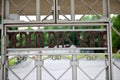 Gate of Buchenwald Concentration Camp